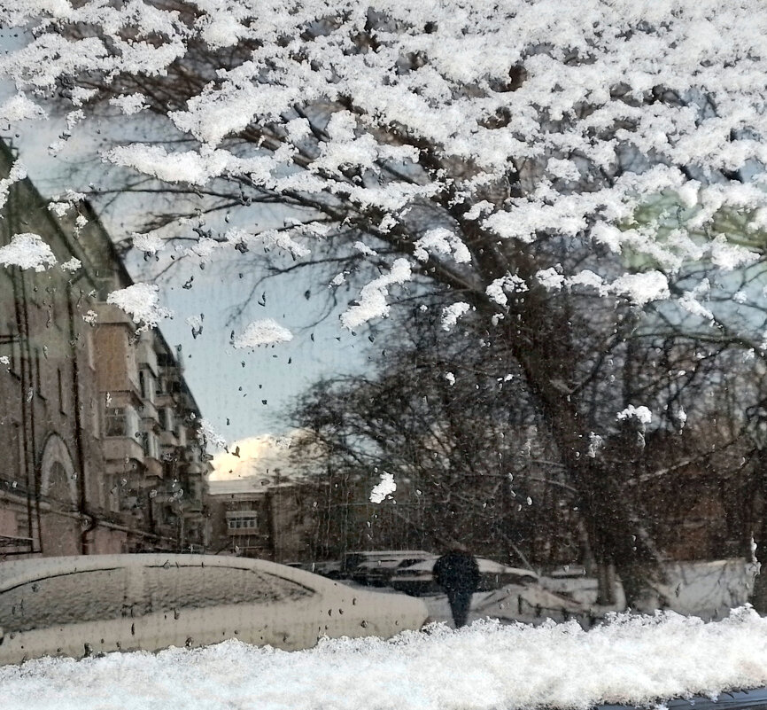 *** - Валентина Береснева