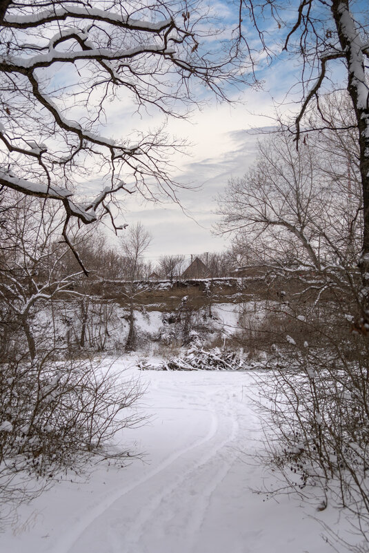 В конце февраля выпал снег - Игорь Сикорский