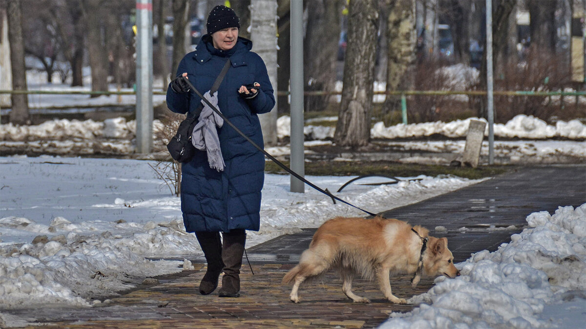 Гуляют - Alexandеr P