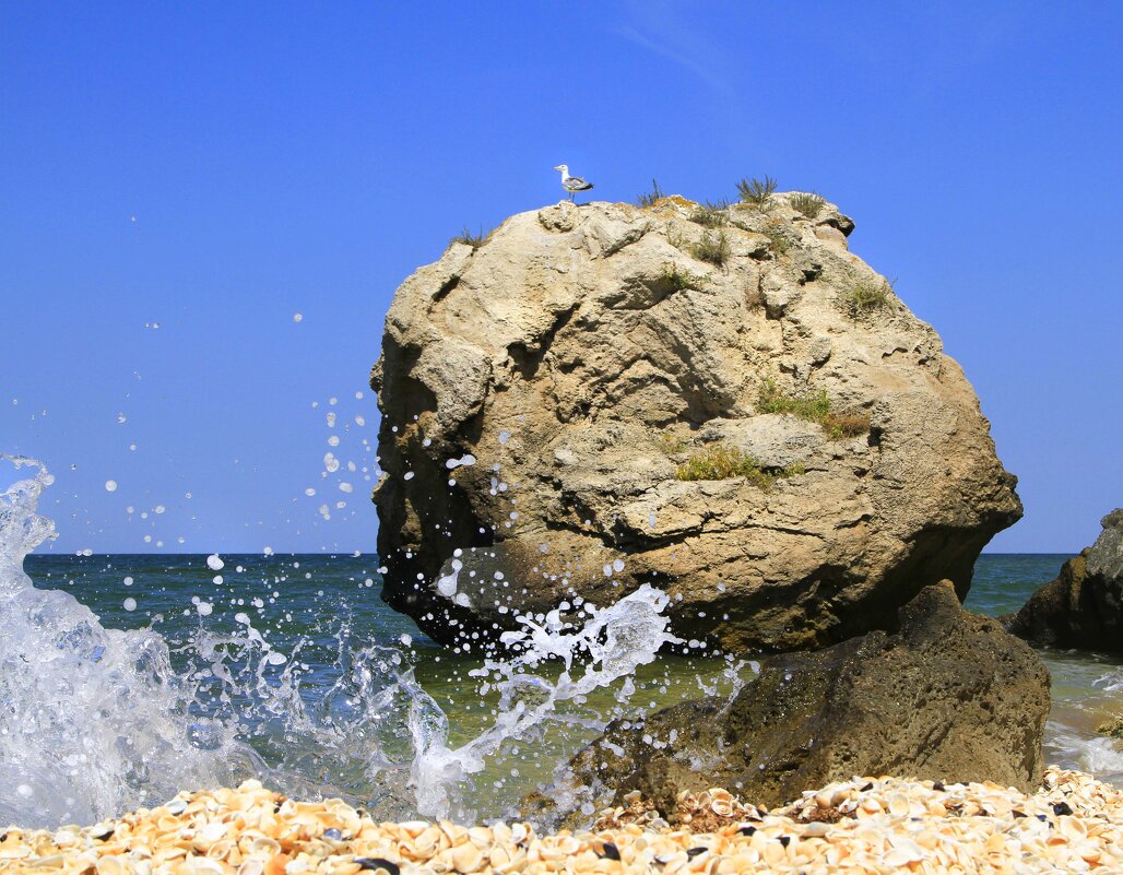 Любуясь морем - Геннадий Валеев Любуясь морем - Геннадий Валеев