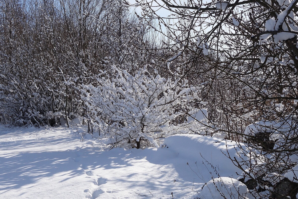 В окрестностях Калининграда - Рита Симонова В окрестностях Калининграда - Рита Симонова
