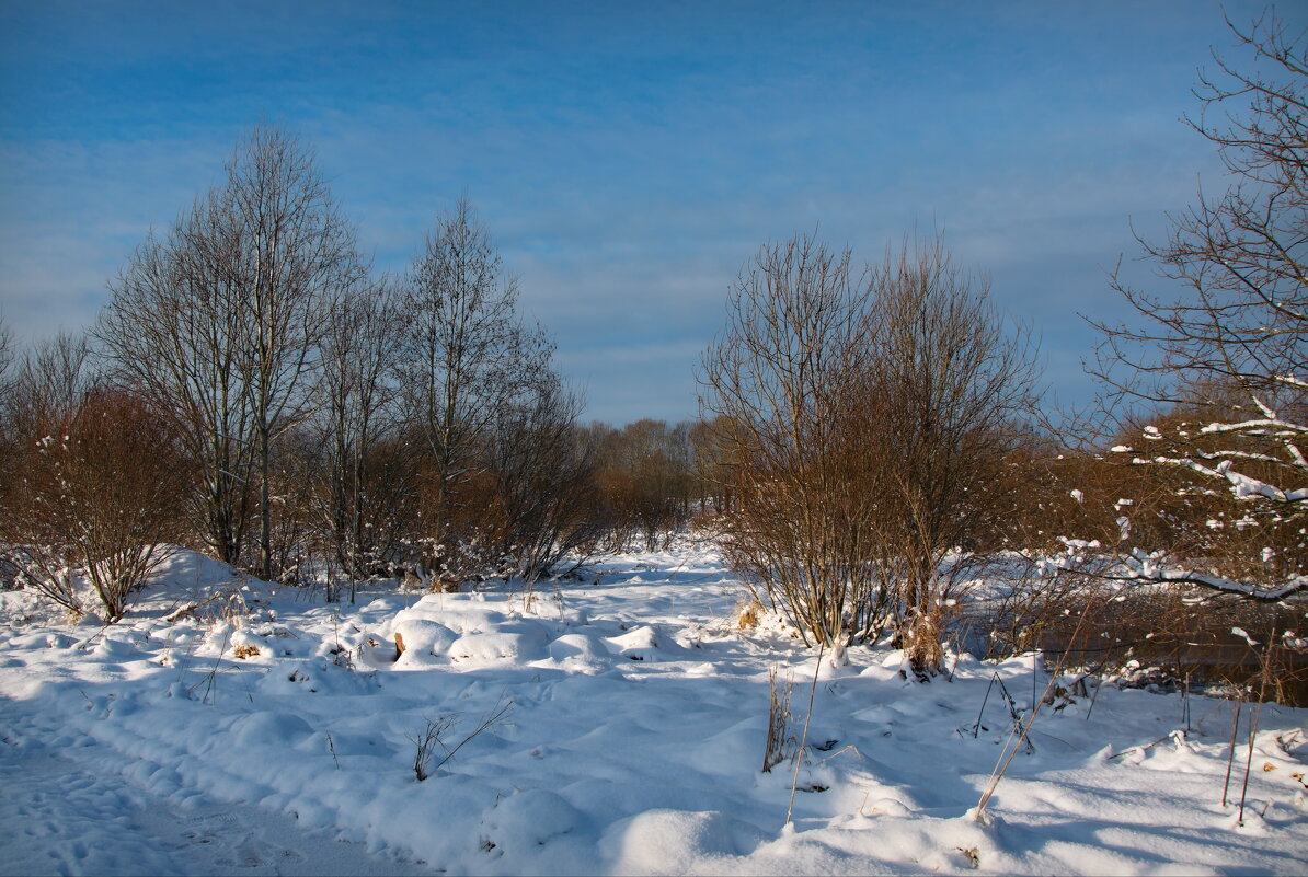 Природа в феврале - lady v.ekaterina