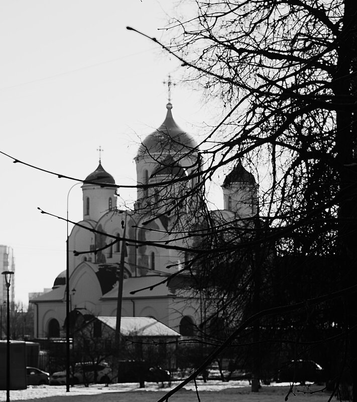 Перед Масленицей. - Василий Палий