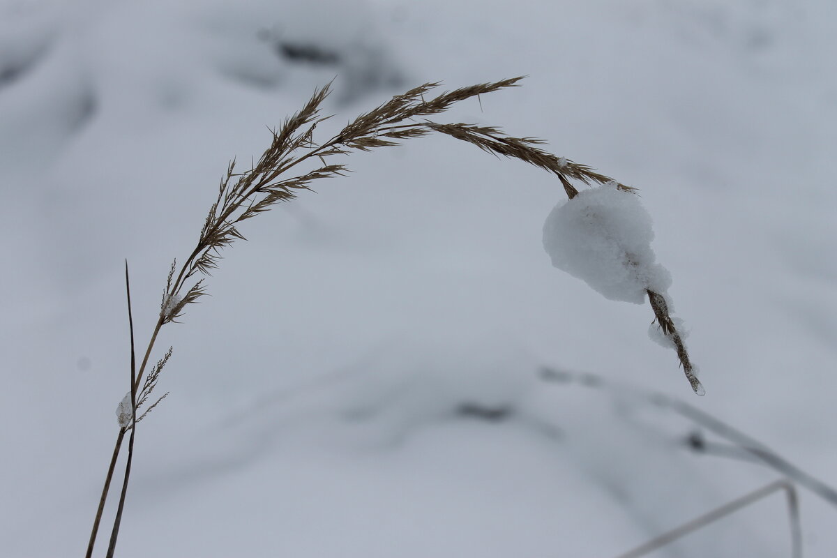 Без названия - Любовь Иванова