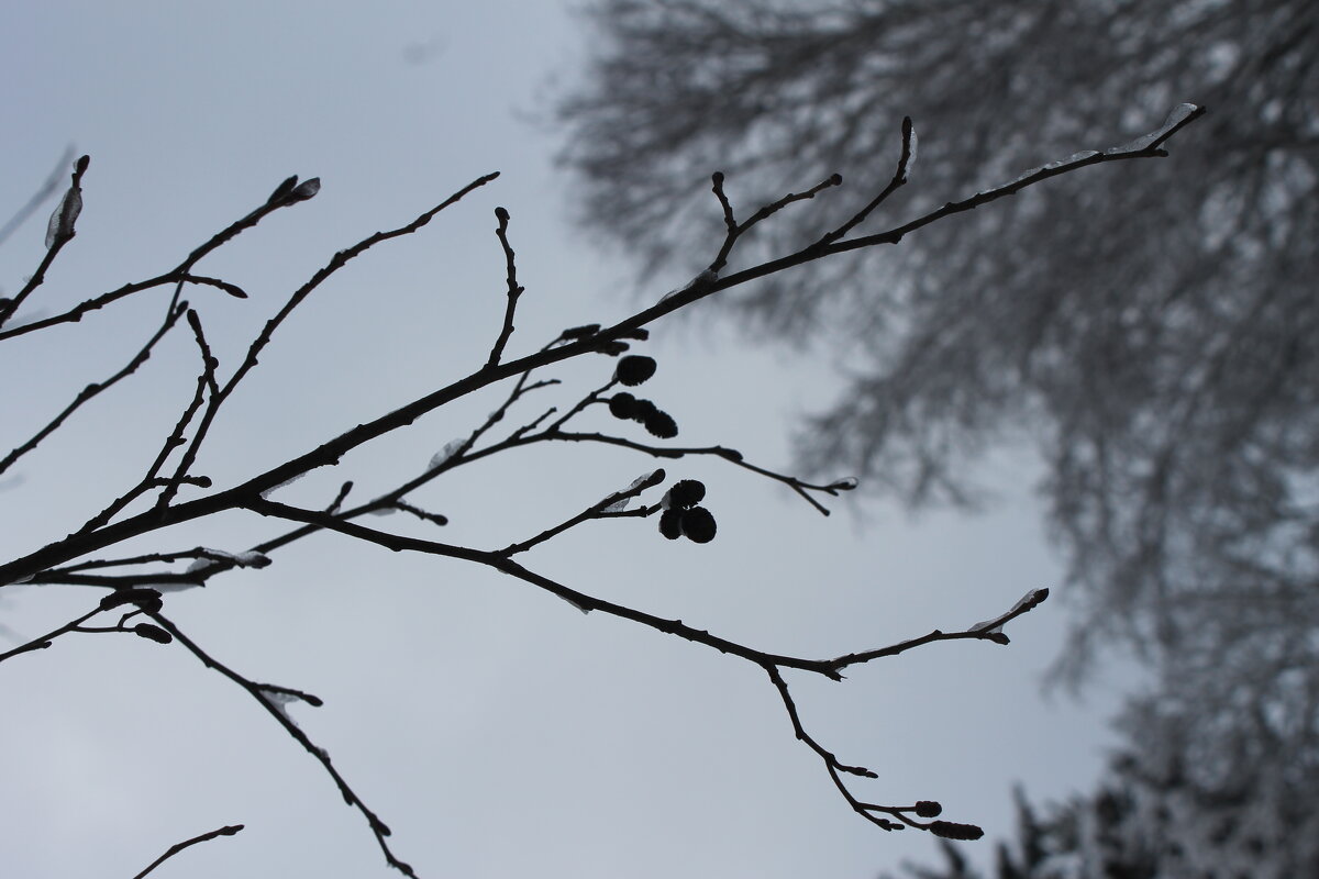 Без названия - Любовь Иванова