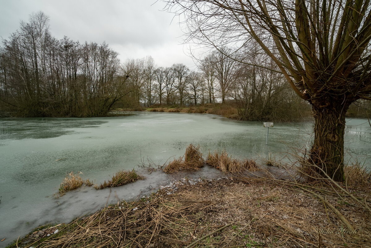 Пруд в январе... - Николай Гирш Пруд в январе... - Николай Гирш