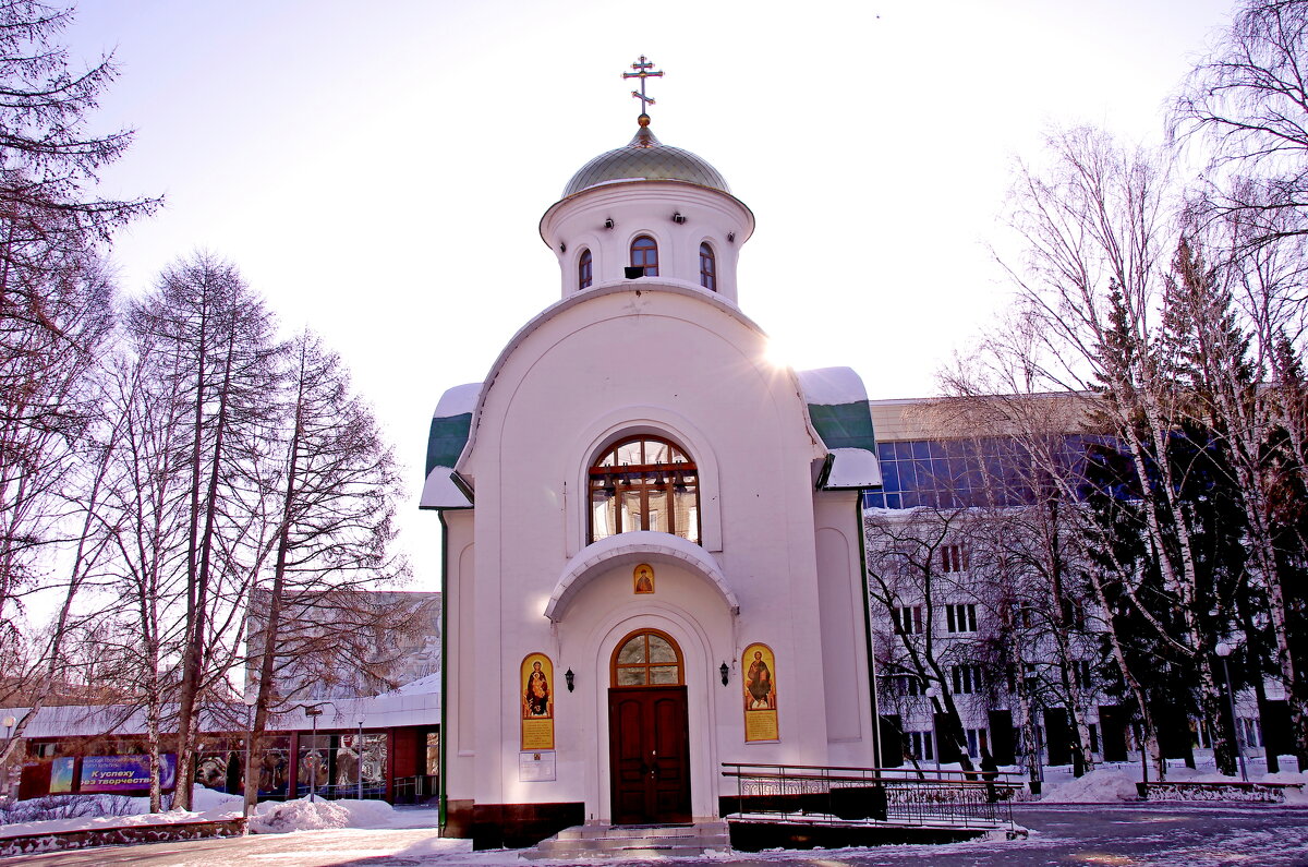 Храм во имя святого благоверного князя Димитрия Донского - Сергей Швечков Храм во имя святого благоверного князя Димитрия Донского - Сергей Швечков