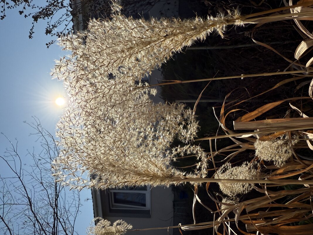 Солнце - Валентина .