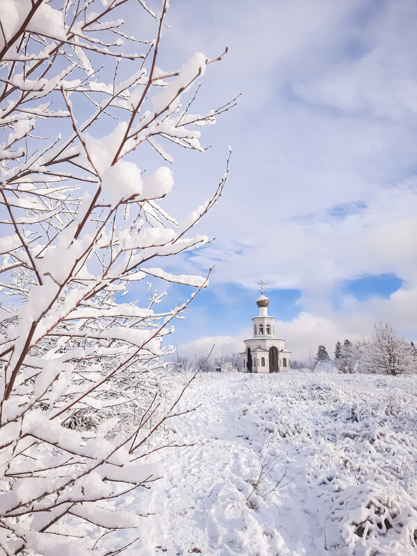 Красавица зима! - Юлия Закопайло