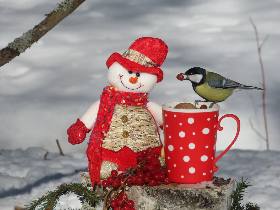 Снеговик угощает! - Ольга Митрофанова