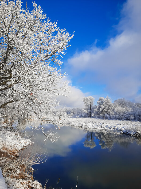 Снежное царство. - Юлия Закопайло