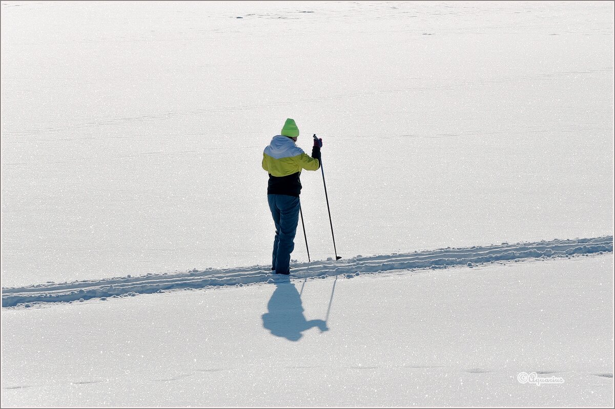 Лыжница... - Aquarius - Сергей Лыжница... - Aquarius - Сергей