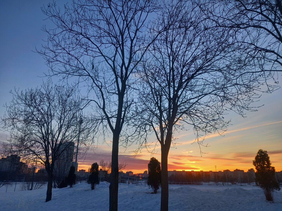 Закат - Сапсан 