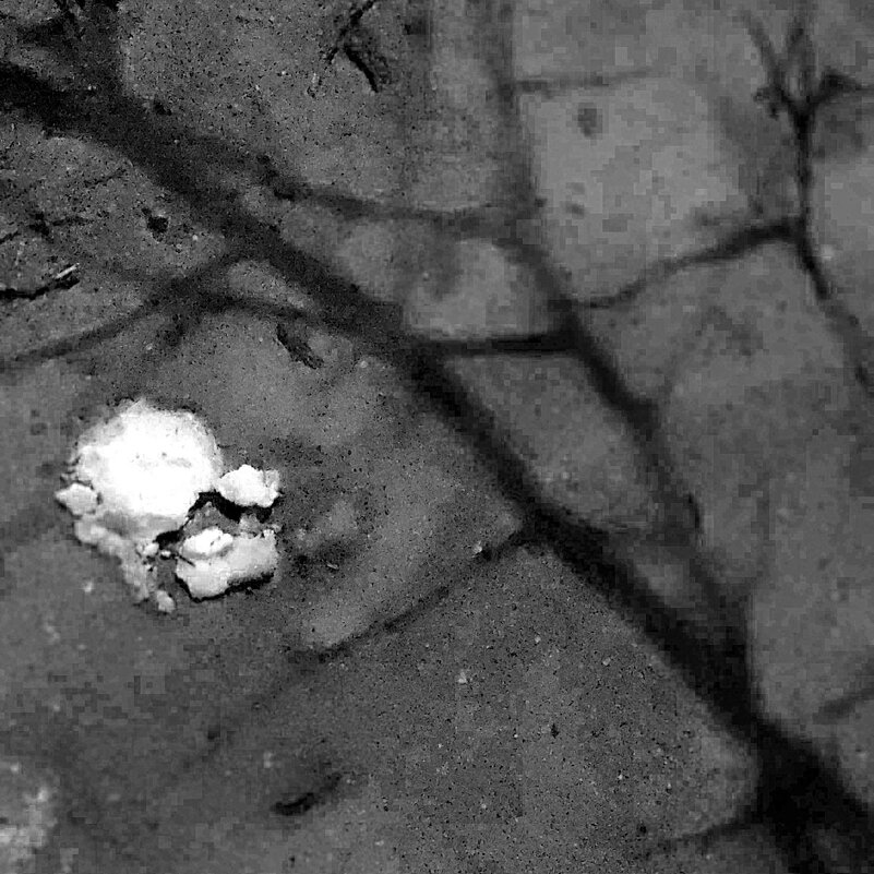 комочек снега - Любовь 