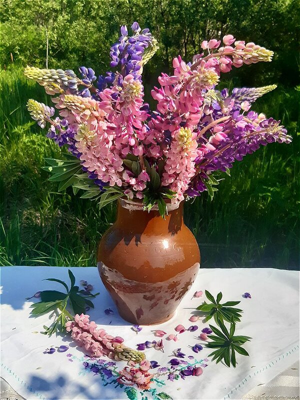 Разноцветное лето! - Нина Андронова Разноцветное лето! - Нина Андронова