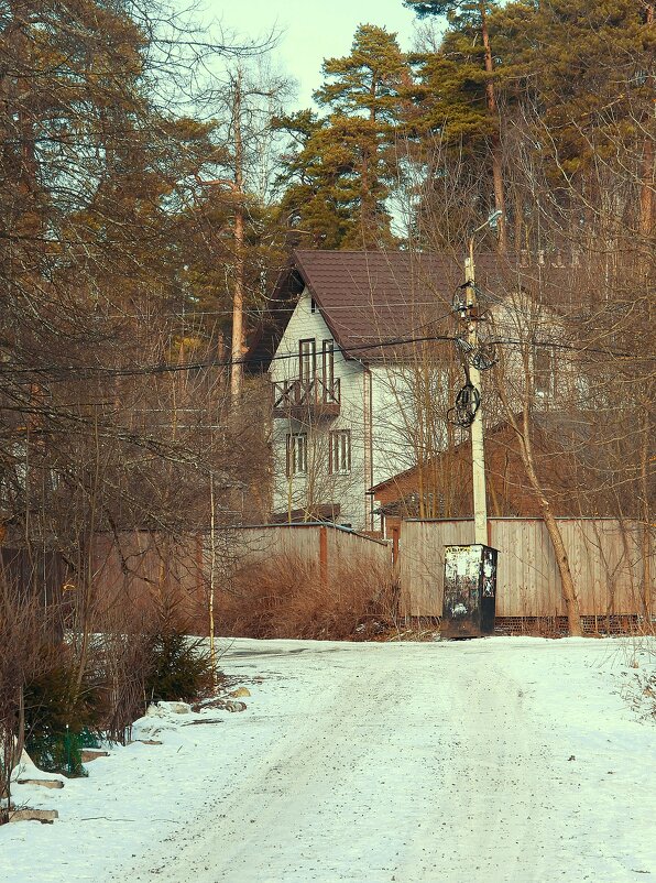 Загорянка. Зима - Леонид leo