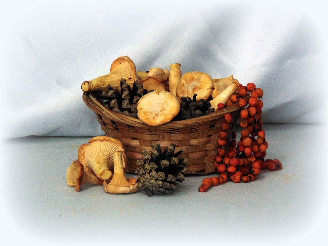 Подарки леса. - nadyasilyuk Вознюк Подарки леса. - nadyasilyuk Вознюк