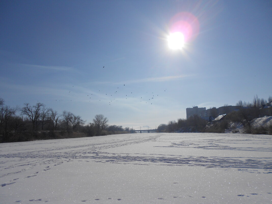 февраль - Елена Шаламова