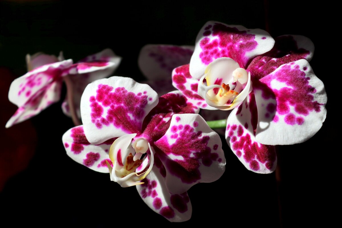 Доброе утро - Юрий. Шмаков Доброе утро - Юрий. Шмаков