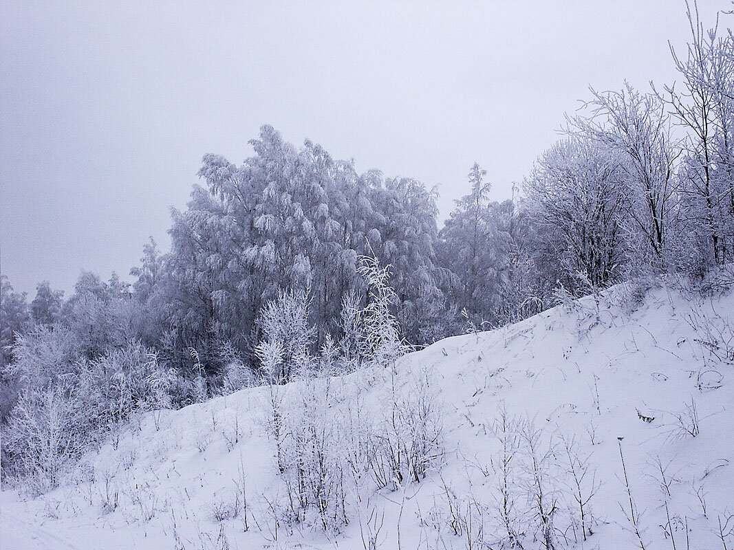 Последние дни зимы - MILAV V