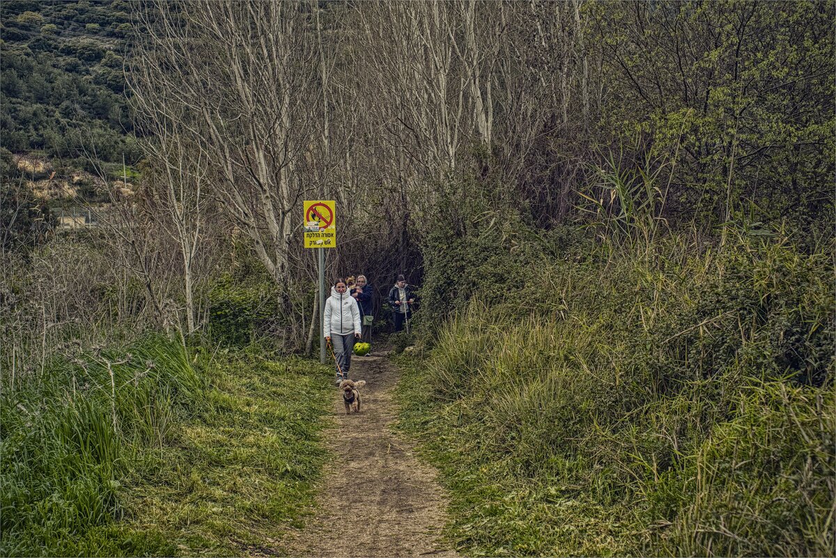 В долине Кирьят Харошат Вальруй. Под Кирьят-Тивоном 2025г - ujgcvbif В долине Кирьят Харошат Вальруй. Под Кирьят-Тивоном 2025г - ujgcvbif