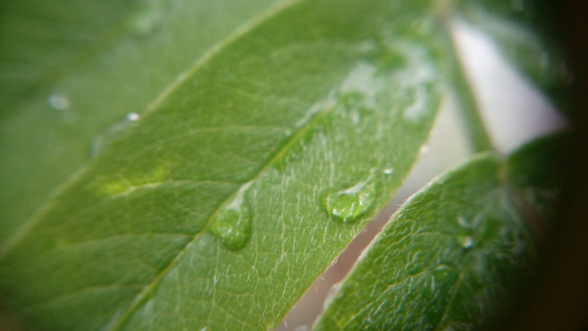 ,,, - Сергей Тимоновский ,,, - Сергей Тимоновский