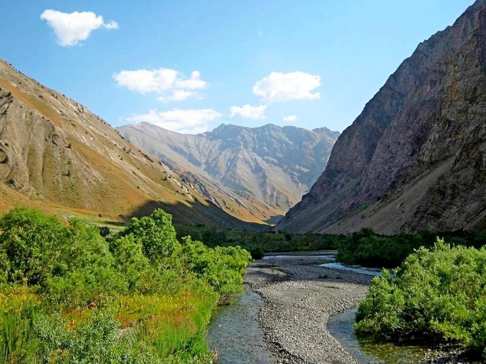 ГОРНАЯ ПРОГУЛКА. - Виктор Осипчук