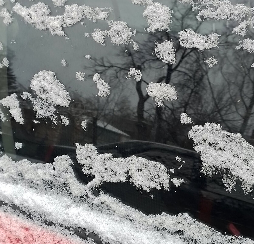 *** - Валентина Береснева *** - Валентина Береснева