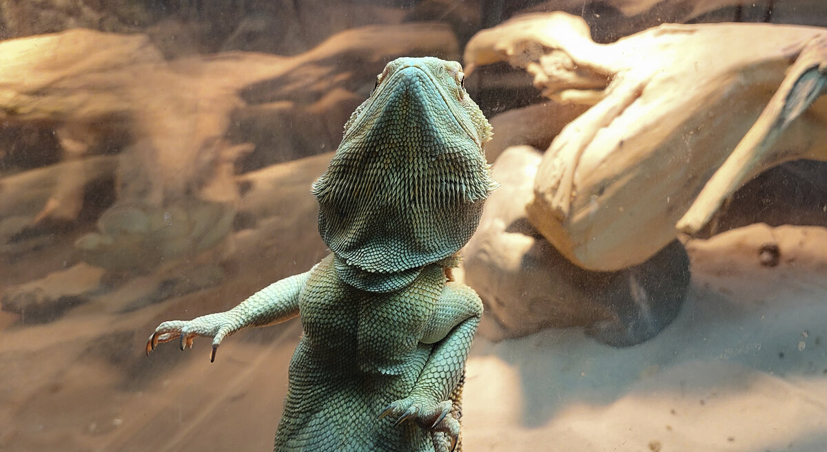 Давайте знакомиться?! - ИРЭН@ . Давайте знакомиться?! - ИРЭН@ .