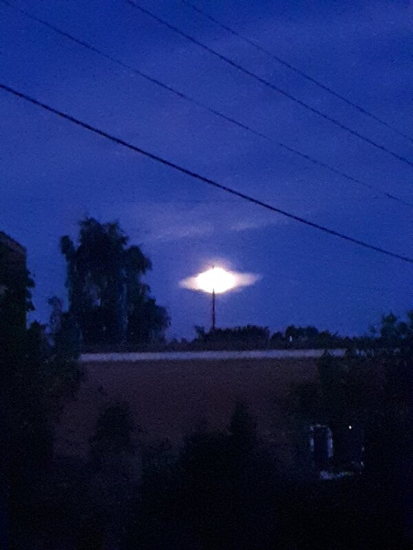 НЛО на игле - Надежда 