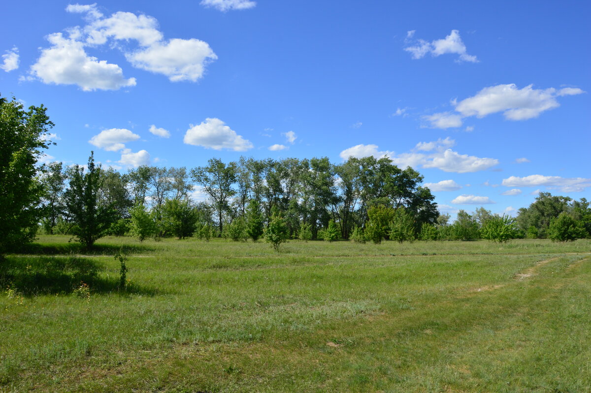 Весна в степи. - Виктор 