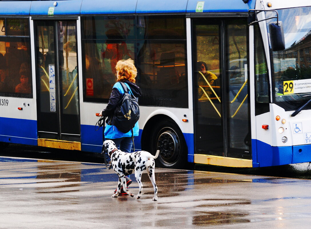 ОЖИДАНИЕ - Виктор Никитенко ОЖИДАНИЕ - Виктор Никитенко