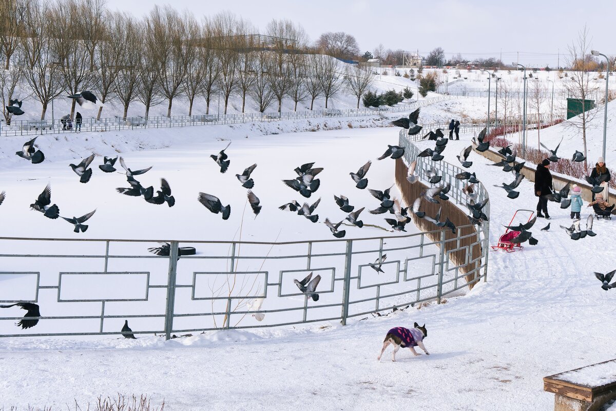 Ростовские зарисовки - Александр Гапоненко
