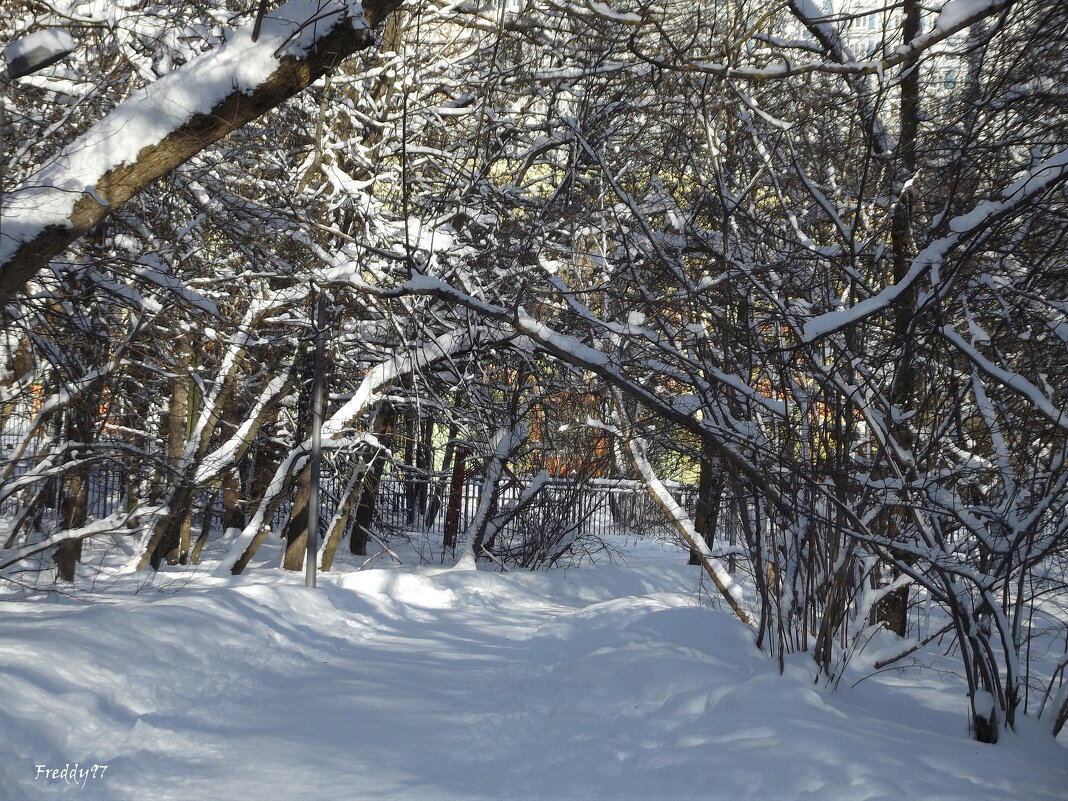 В парке - Freddy 97