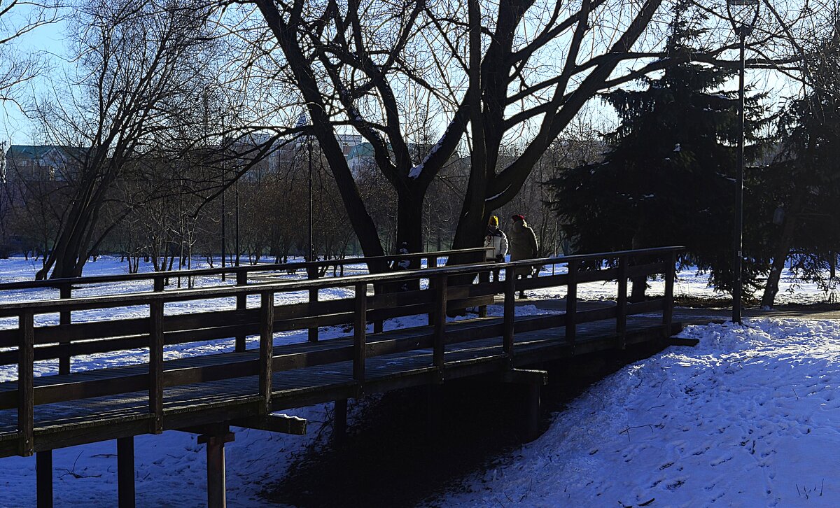 Деревянный мостик. - Василий Палий