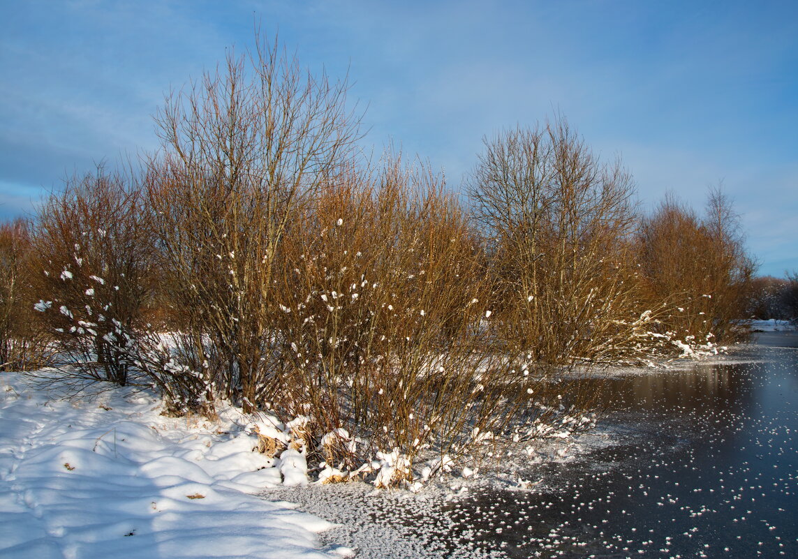 У пруда - lady v.ekaterina