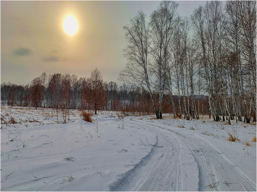 *** - Алексей Мезенцев *** - Алексей Мезенцев