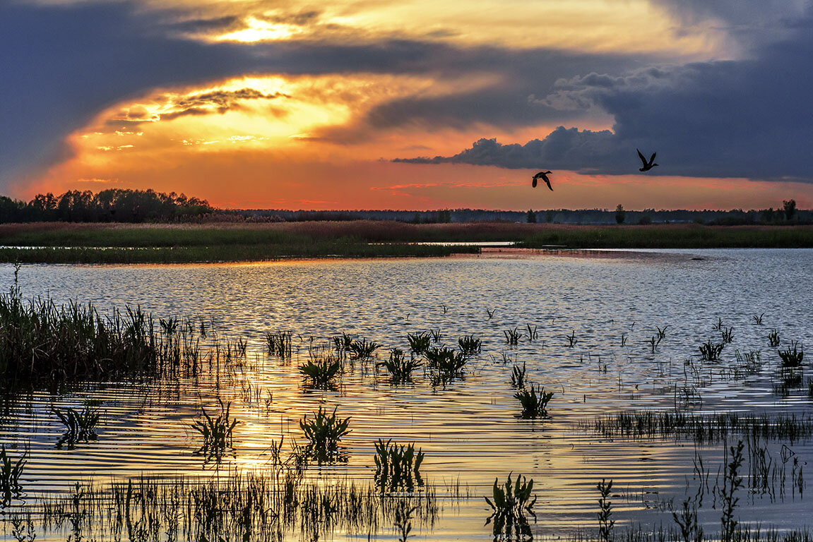 Летят утки - Сергей 