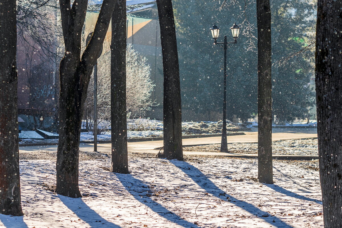 Февральское солнце и лёгкий снежок. - Анатолий. Chesnavik. Февральское солнце и лёгкий снежок. - Анатолий. Chesnavik.