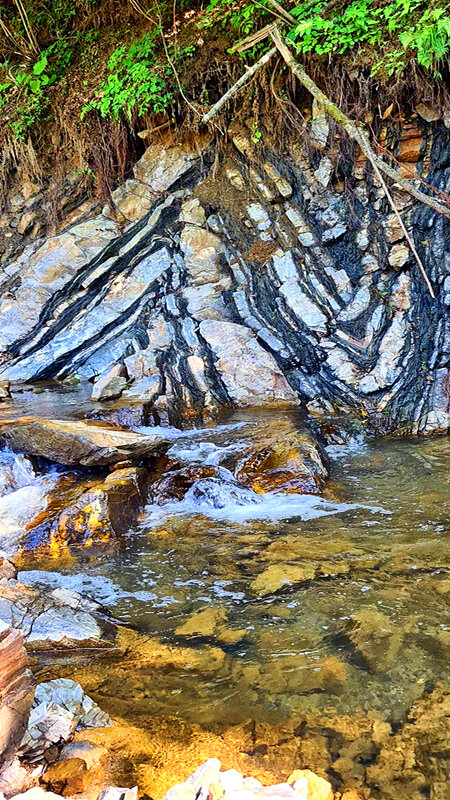 ПРИРОДНАЯ   МОЗАИКА - Анатолий Малобродский