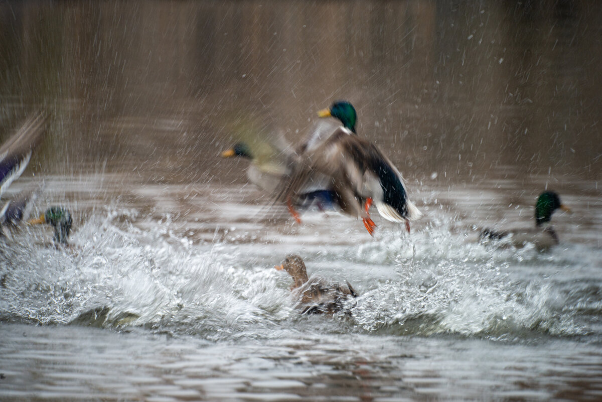 на взлет - Александр Леонов