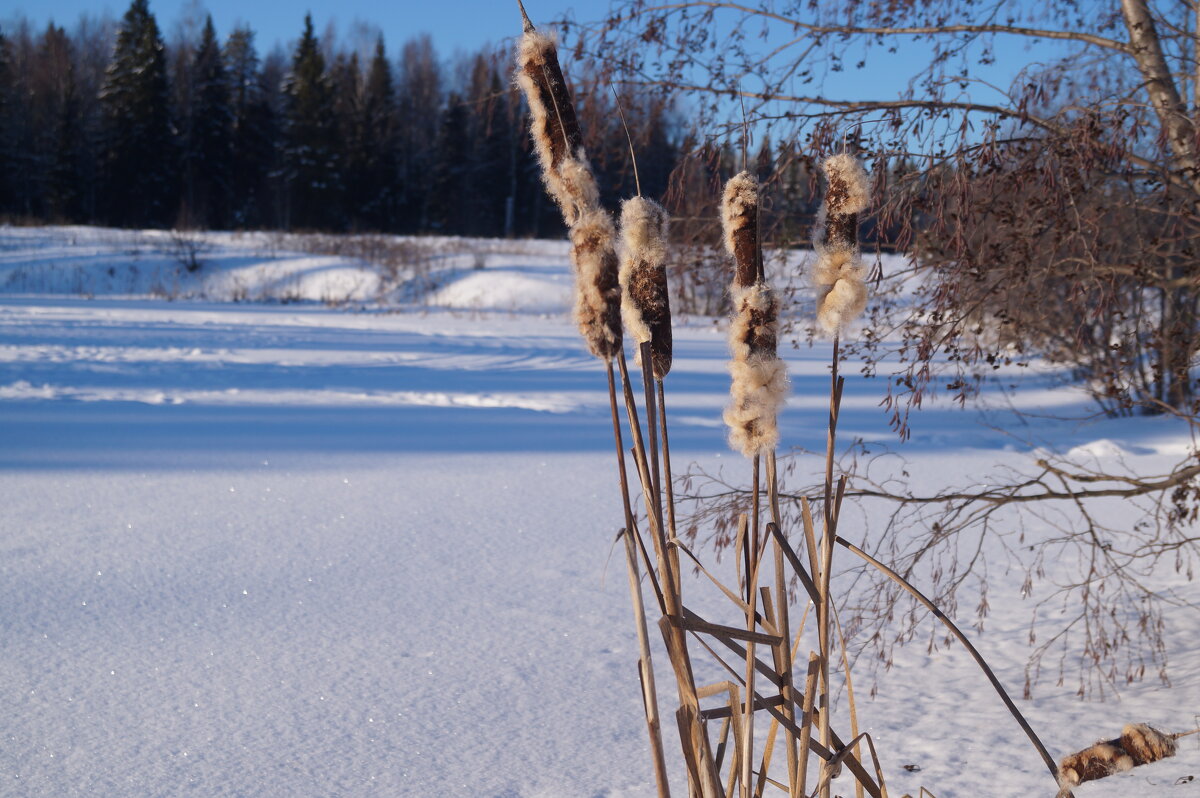 ... - Сергей Ц