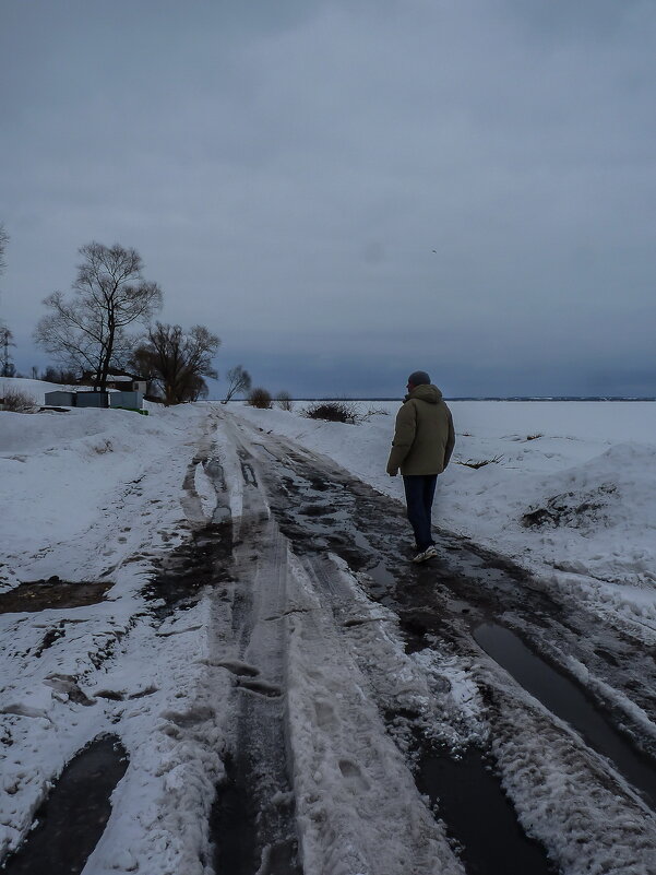 Дорогу осилит идущий - Наталья Rosenwasser Дорогу осилит идущий - Наталья Rosenwasser