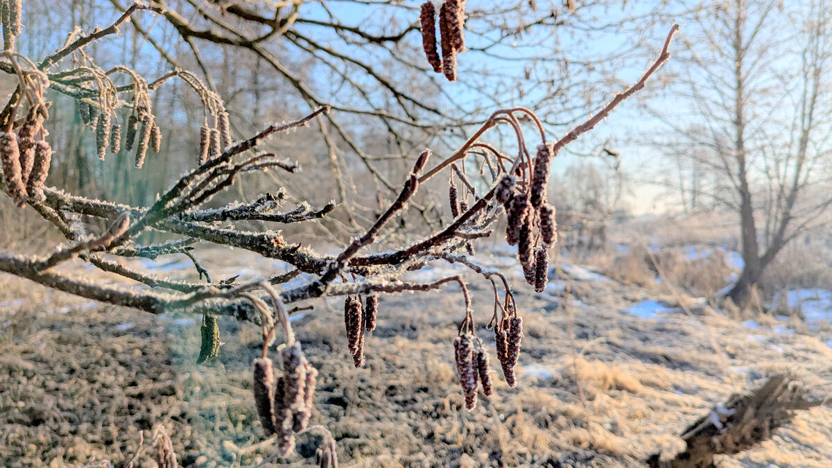 февраль. сегодняшнее утро 3 - Александр Прокудин