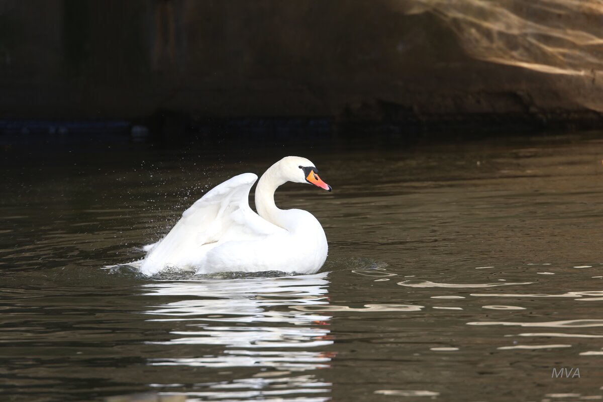 *** - Вячеслав Макушин