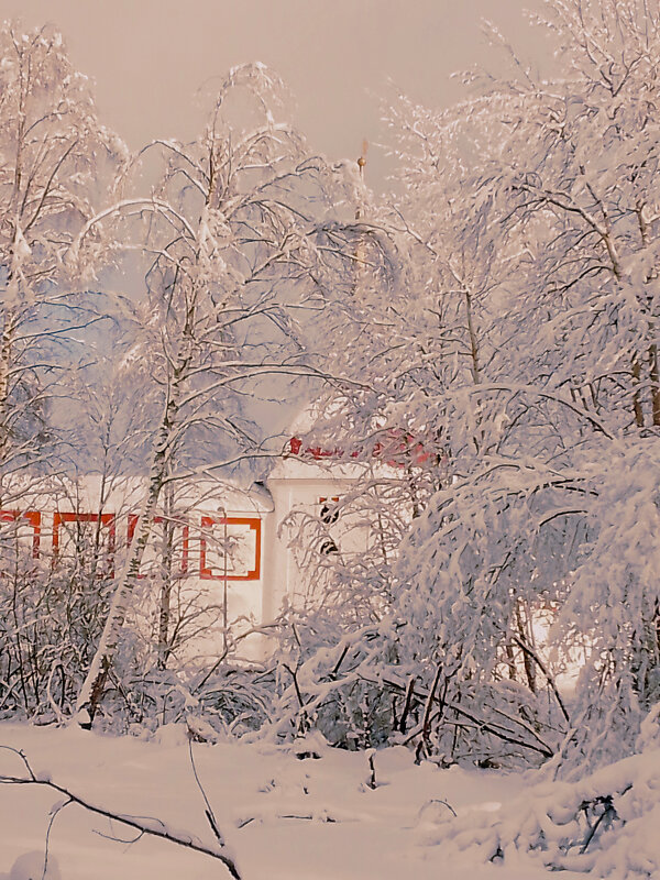 Зимний день - Сергей Кочнев