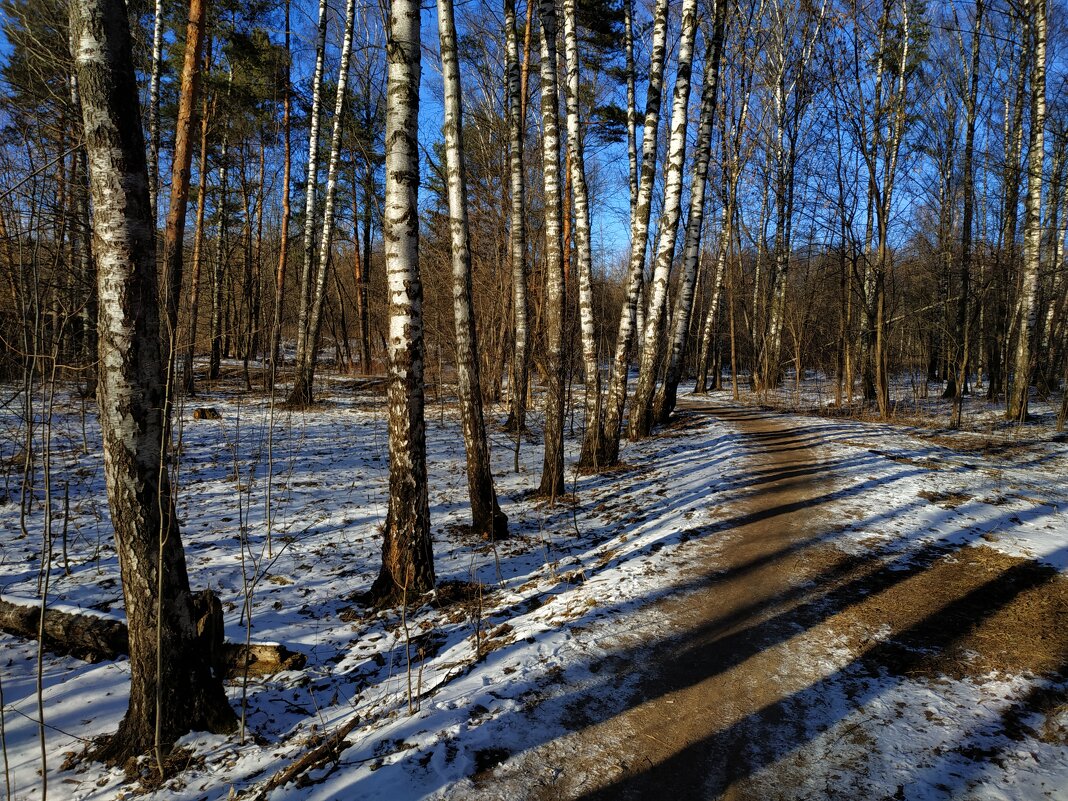 Несостоявшаяся зима в Лосином острове - Андрей Лукьянов