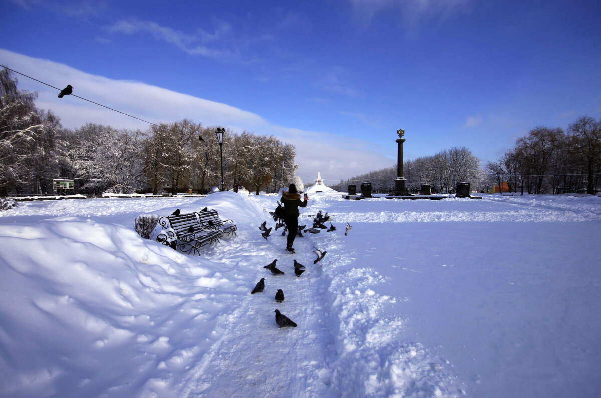 Голуби на аллее в парке Соловьи - Евгений 