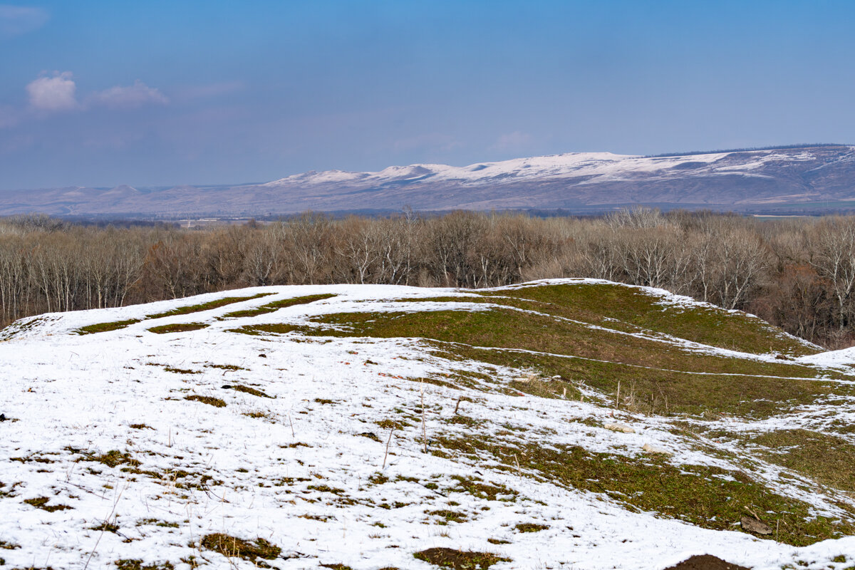 Прогулка в зимний день - Игорь Сикорский Прогулка в зимний день - Игорь Сикорский
