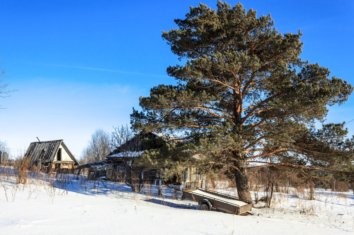 Зимой в деревне - Сергей Борисович Зимой в деревне - Сергей Борисович
